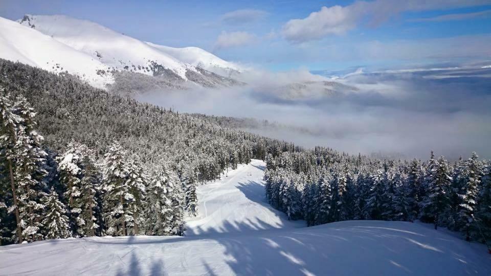 Fortuna Luxury Apartment Bansko Dış mekan fotoğraf