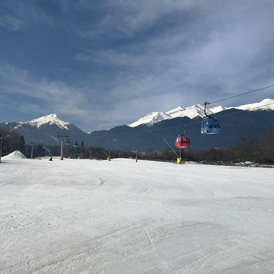 Fortuna Luxury Apartment Bansko Dış mekan fotoğraf