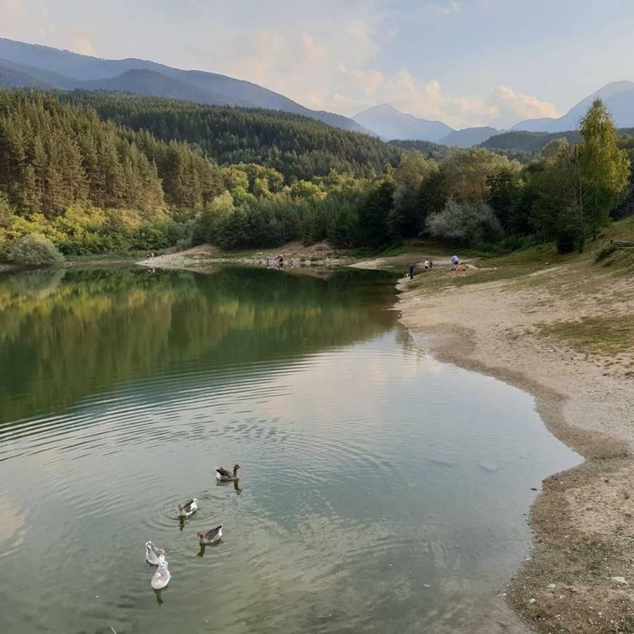 Fortuna Luxury Apartment Bansko Dış mekan fotoğraf